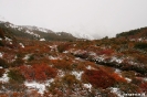 El chalten - Los Glacieres Nat. park - naar Fitz Roy