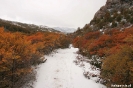 El chalten - Los Glacieres Nat. park - naar Fitz Roy