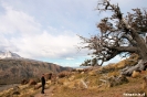 El chalten - Los Glacieres Nat. park - naar Fitz Roy