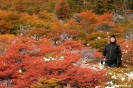 El chalten - Los Glacieres Nat. park - naar Fitz Roy