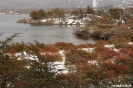 El chalten - Los Glacieres Nat. park - naar Fitz Roy, Lago Capri