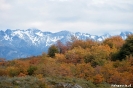 Ushuaia - Tierra del Fuego NP