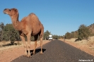 Australië - Red centre