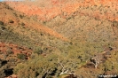 East McDonnel - Trephina Gorge