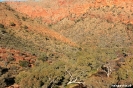 East McDonnel - Trephina Gorge