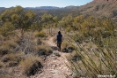 East McDonnel - Trephina Gorge