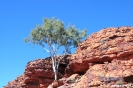 Kings Canyon