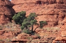 Kings Canyon