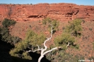 Kings Canyon