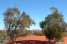 Uluru - Eerste blik op Uluru