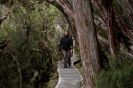 Cradle mountain - pad langs het meer