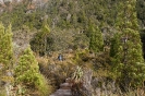 Cradle mountain