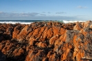 Freycinet Peninsula - Friendly beach