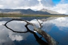 Freycinet Peninsula - spiegeltje!