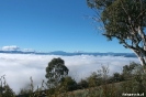 Mt.Buffalo - Eindelijk boven de wolken!