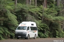 Tarra Bulkga National Park - grote varens