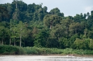 Kinabatangan - op de rivier