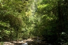 Mt. Kinabalu national park