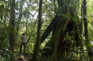 Mt. Kinabalu national park