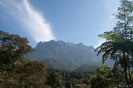 Mt. Kinabalu national park