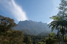 Mt. Kinabalu national park