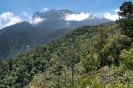 Mt. Kinabalu national park