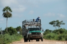 Op pad in de Pantanal