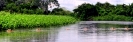 Pantanal - Een jaguar zwemt over de Rio Miranda