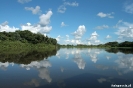 Pantanal