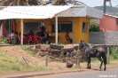 Paaseiland, Hanga Roa, te paard naar de kroeg