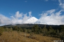 Puerto Varas - in Osorno national park