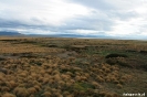 Punta Arenas - Seno Otway pinquin kolonie