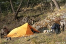 Torres del Paine - Camping bij Grey