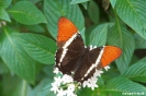 Medellin - Botanische tuin