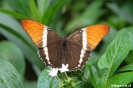 Medellin - Botanische tuin