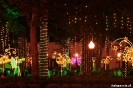 opayan - Parque Caldas by night