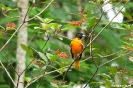 Ecocentro Danaus