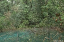 Rincon de la Vieja - helblauwe poel in de jungle