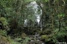 Rincon de la Vieja - waterval onderweg