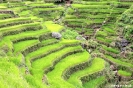 Rijstterrassen bij Maligcong