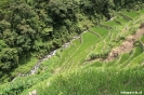 Rijstterrassen van Batad