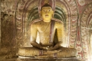 Dambulla 