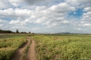 Minneriya National Park - Ruimte!