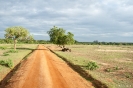 Yala national park