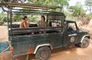 Yala national park