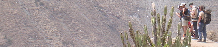 PERU - Trekking in de Colca Canyon