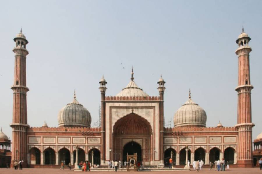 Sightseeing Delhi en naar Agra