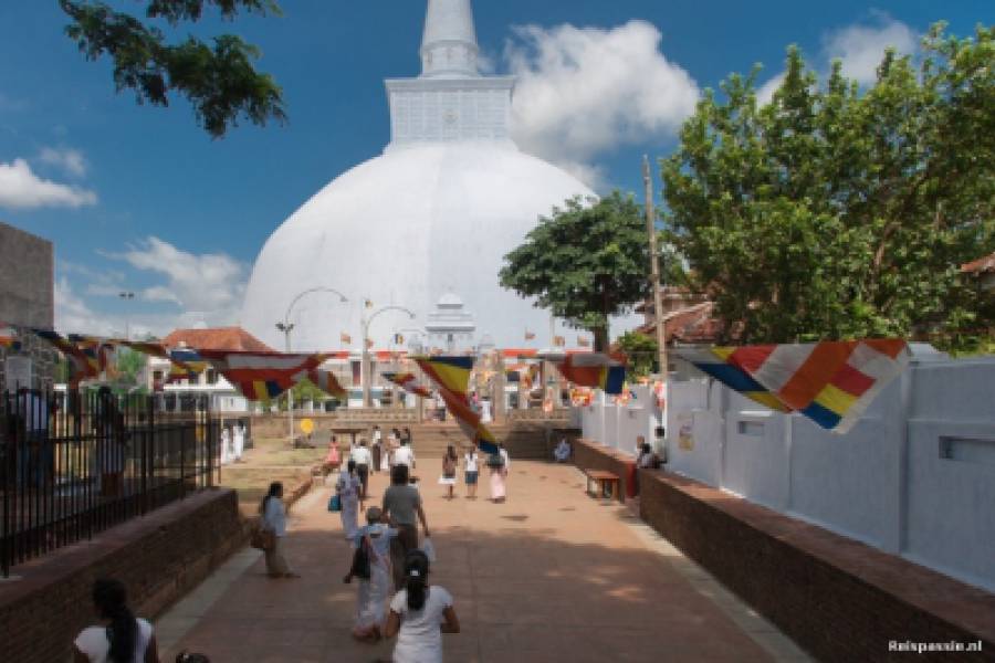 Lekker Lanka!